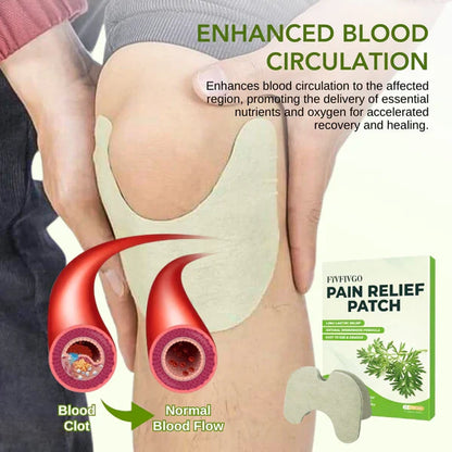 Herbal Knee Pain Relief Patches (12 patches)